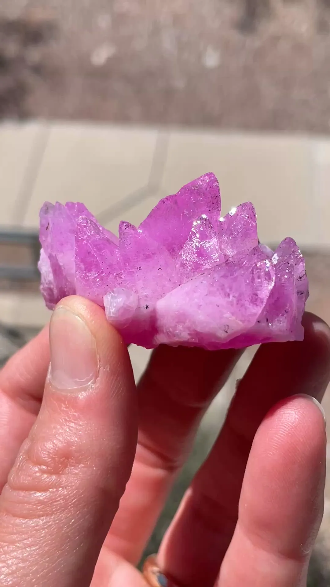 specimen video