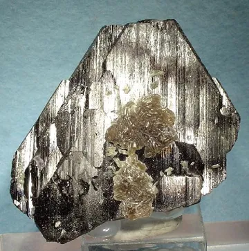 Muscovite