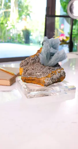 specimen video