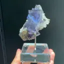 specimen video