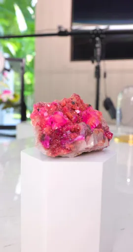 specimen video