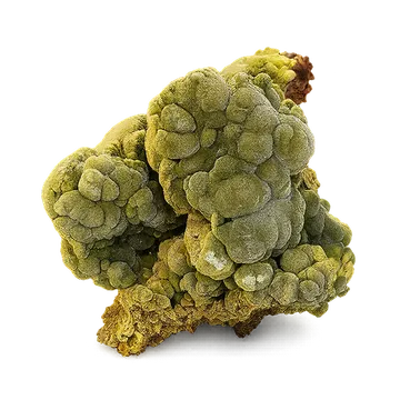 Mottramite