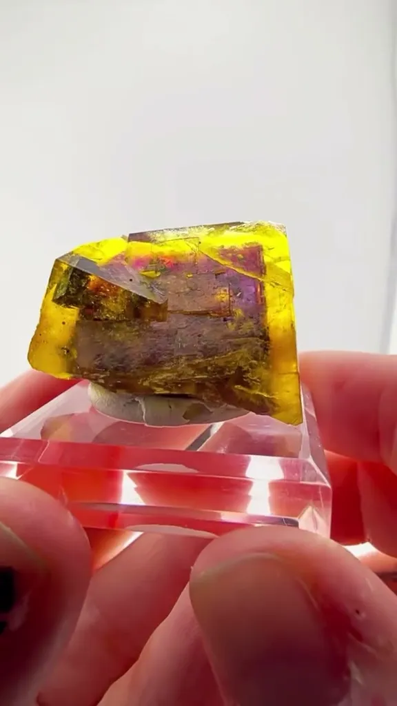 Absolute color bomb out of Saxony Fluorite image