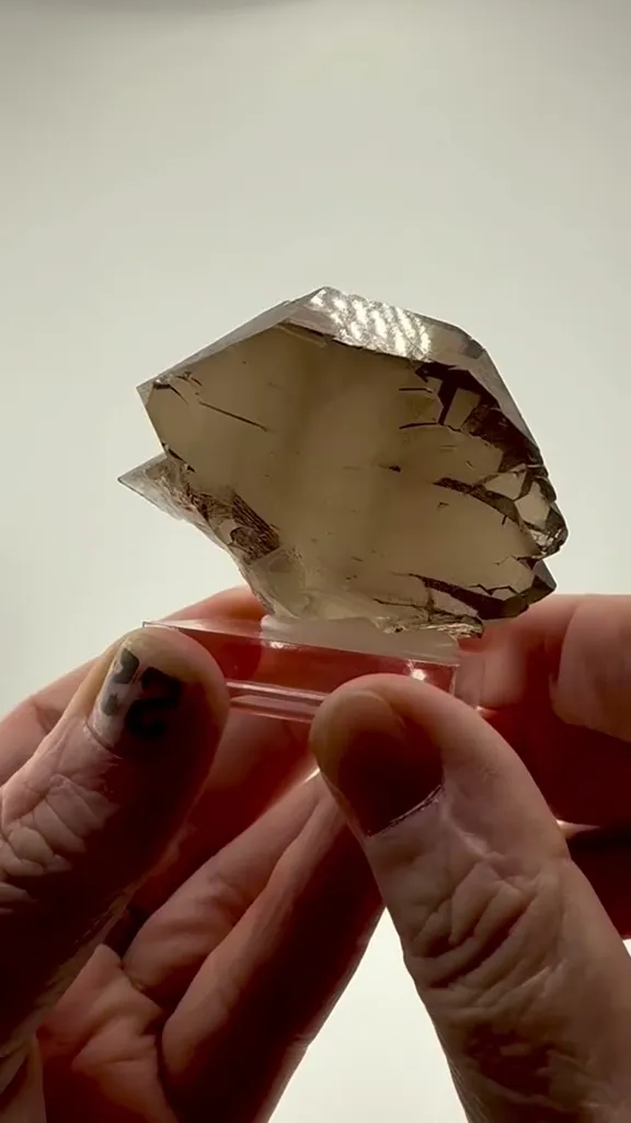 Absolute Stunner … Smoky Quartz Gwindel from Chamonix Mont Blanc, France image