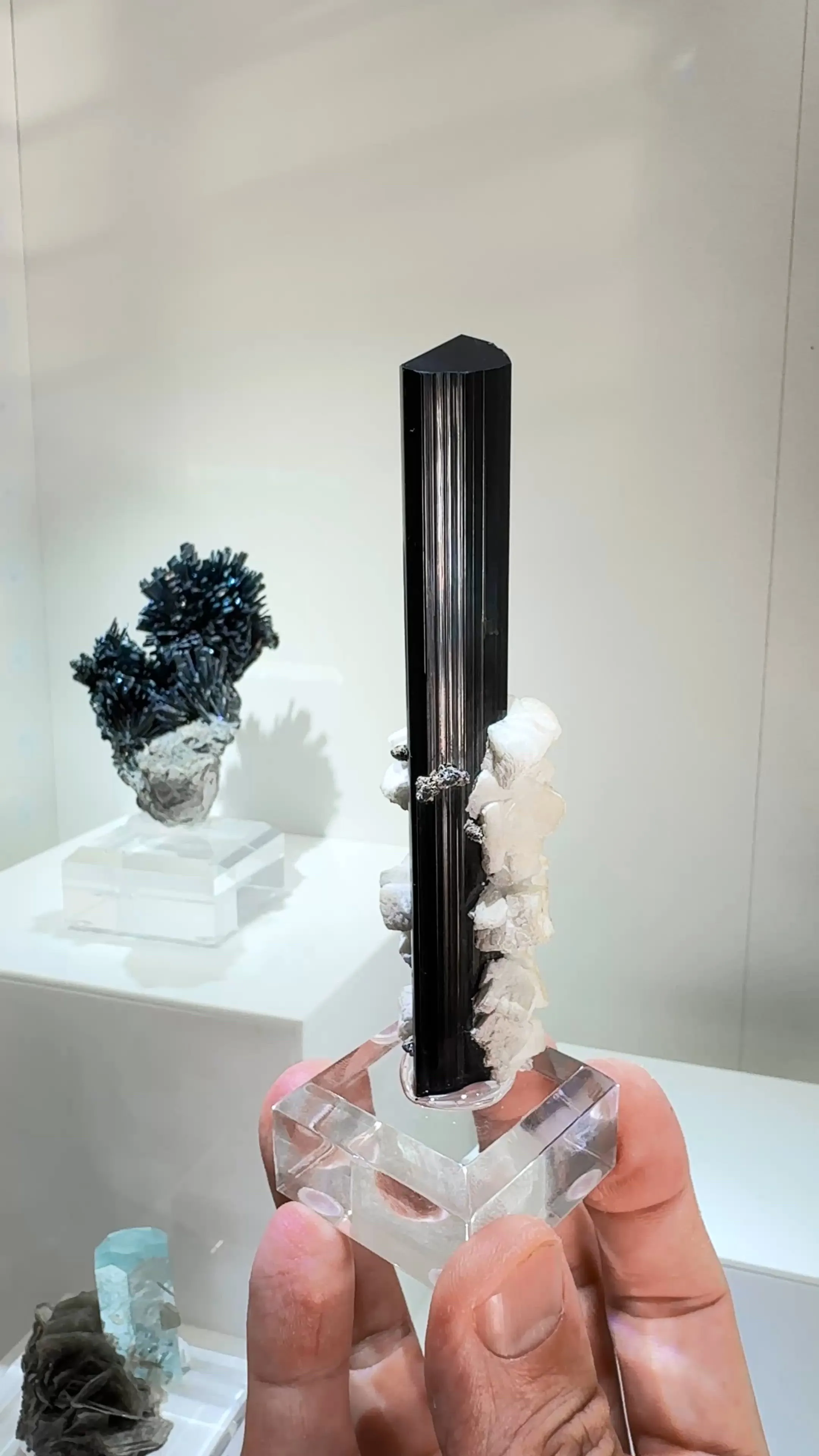 specimen video