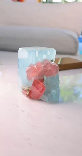 specimen video