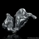 Acanthite - image 1