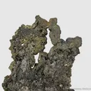 Acanthite - image 3