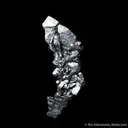 Acanthite - image 6