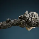 Acanthite - image 3