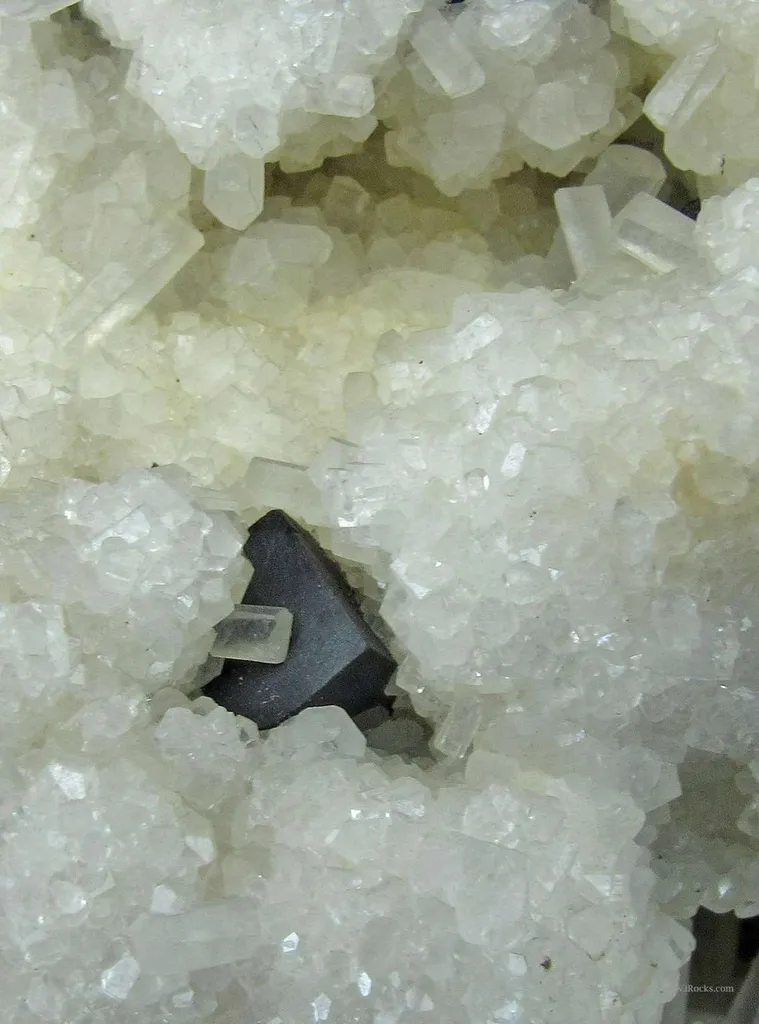 Acanthite and Calcite (Note Old Labels) - image 2