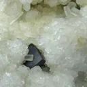 Acanthite and Calcite (Note Old Labels) - image 2