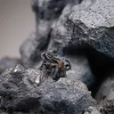 Acanthite - image 2