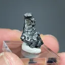 Acanthite - image 2