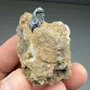 Acanthite from Jáchymov ore district, Karlovy Vary Region, Czech Republic - image 2