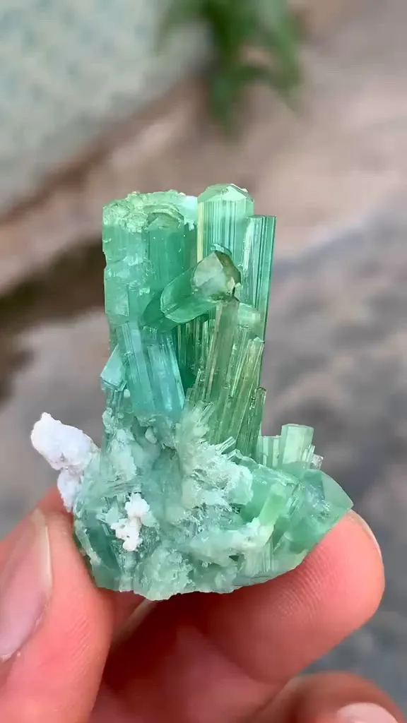 specimen video