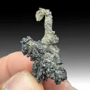 Acanthite on Electrum (G-038) - image 1