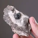 Acanthite on Quartz - image 2