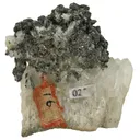 Acanthite on Quartz (Circa 1800S) - image 3