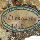 Acanthite Ps. After Argentite on Calcite - image 4
