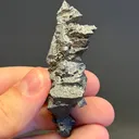 Acanthite ps. Argentine - image 2