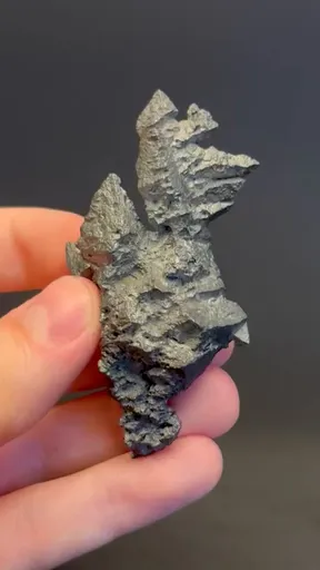 specimen video