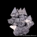 Acanthite ps. Argentite - image 4