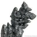 Acanthite Ps. Argentite - image 3