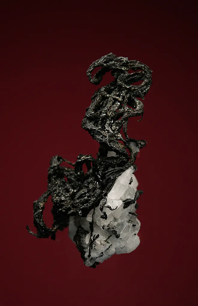 Acanthite replacing Silver - image 5