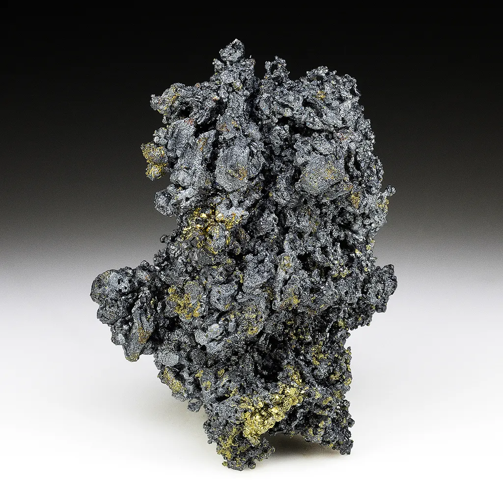 Acanthite (Selenium rich) with Pyrite image