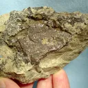 Acanthite, Sphalerite - image 2