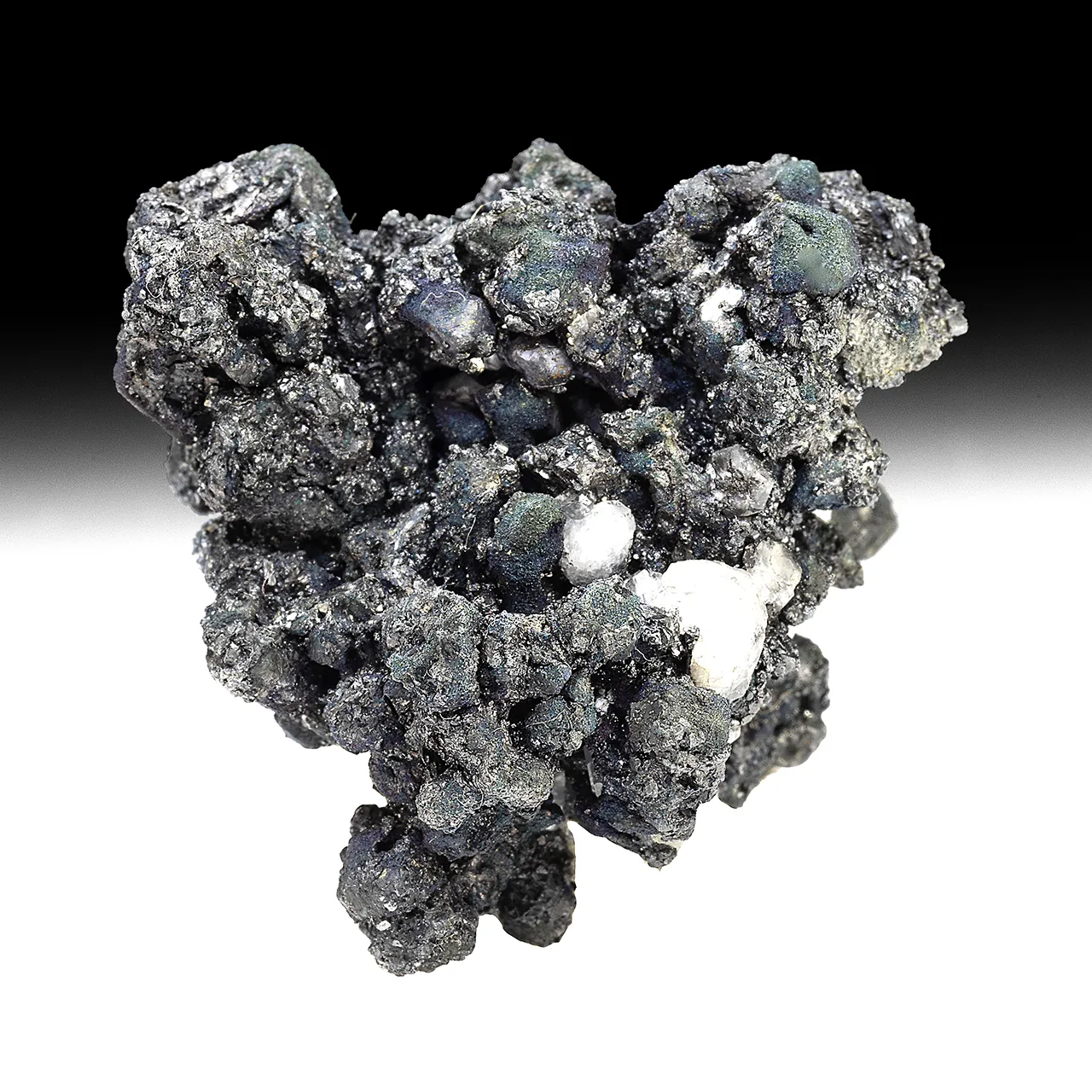 Acanthite with Polybasite - image 1