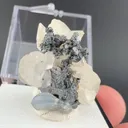 Acanthite with Polybasite, Calcite - image 1