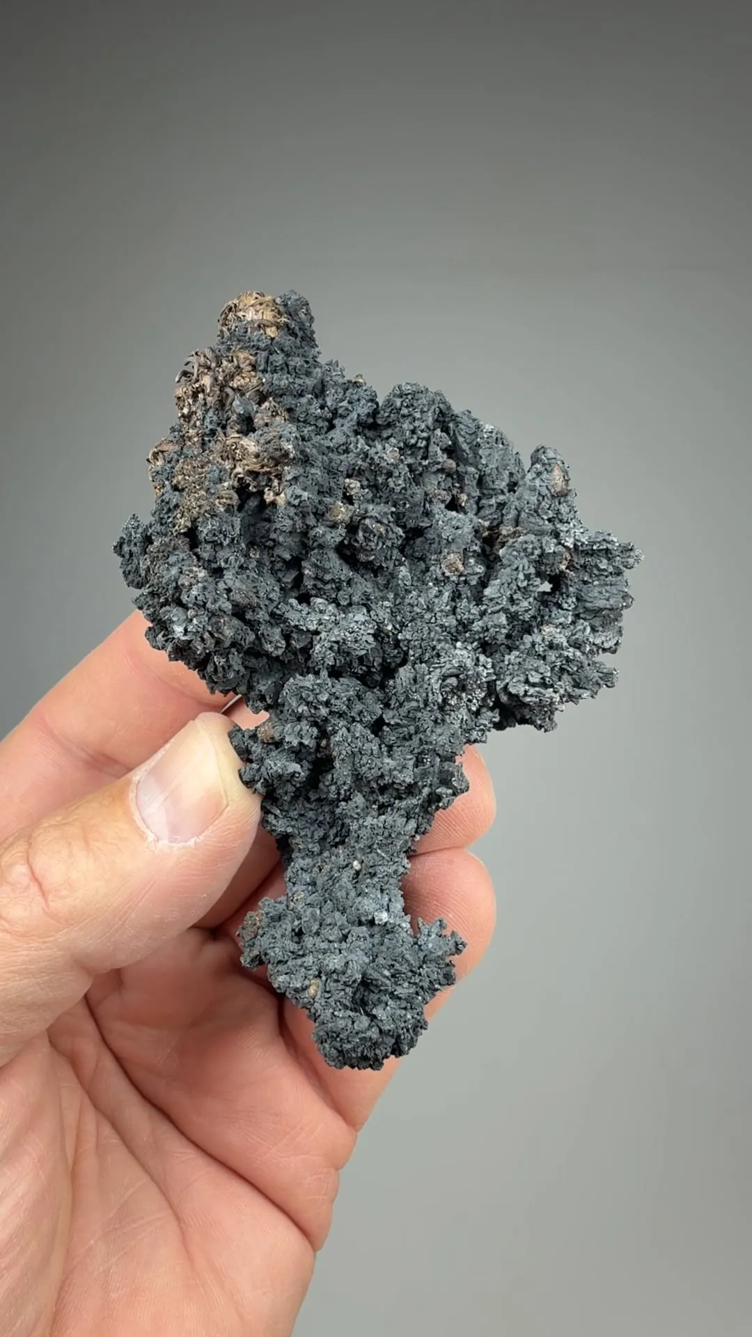 Acanthite with Silver - image 2
