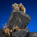 Acanthite with Silver - image 2