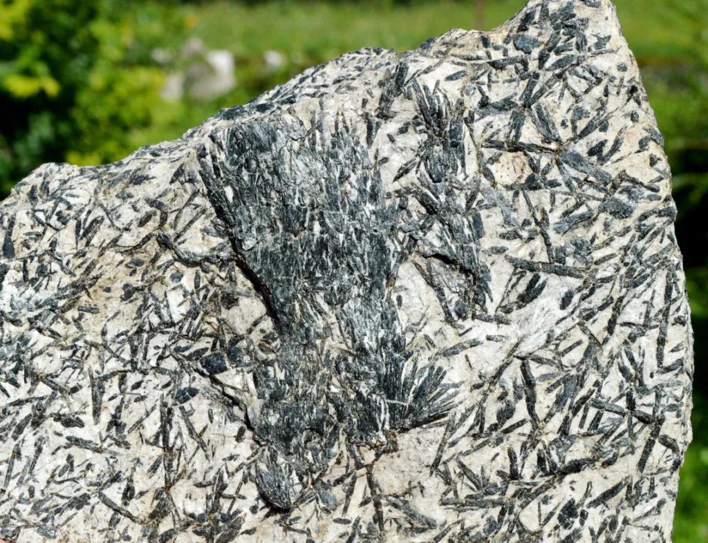 Actinolite 681 grams - Pfitsch, Wipptal, South Tyrol, Trentino-Alto Adige, Italy - image 4