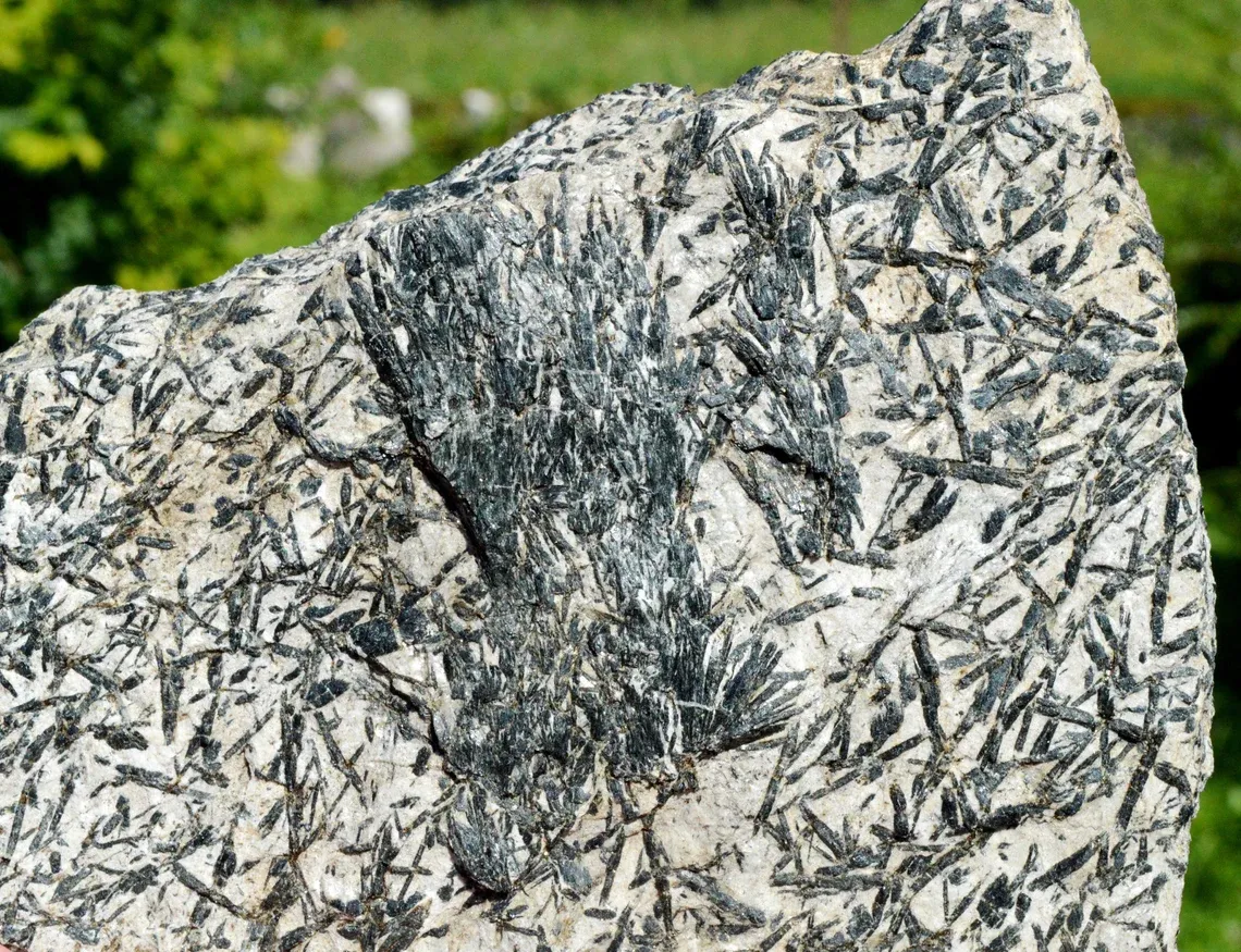 Actinolite 681 grams - Pfitsch, Wipptal, South Tyrol, Trentino-Alto Adige, Italy - image 4