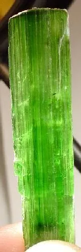 Actinolite image