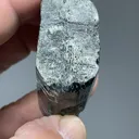 Actinolite - image 2