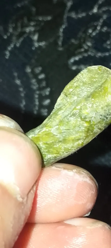 Actinolite from Gilgit, Gilgit District, Gilgit-Baltistan, Pakistan image