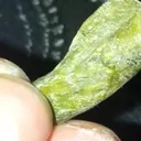 Actinolite from Gilgit, Gilgit District, Gilgit-Baltistan, Pakistan - image 2