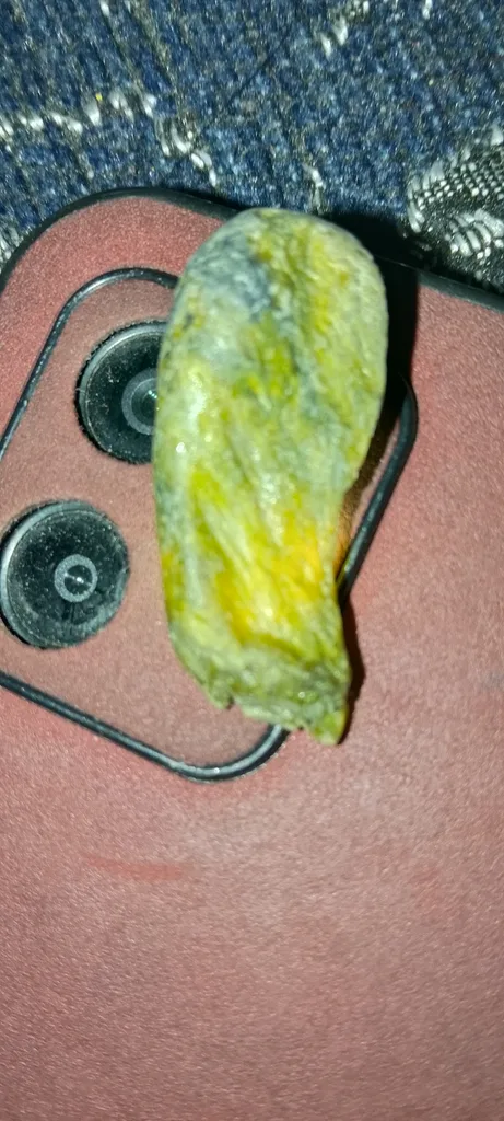 Actinolite from Gilgit, Gilgit District, Gilgit-Baltistan, Pakistan - image 5