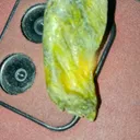 Actinolite from Gilgit, Gilgit District, Gilgit-Baltistan, Pakistan - image 5
