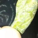 specimen video