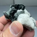 Actinolite with Feldspar - image 2