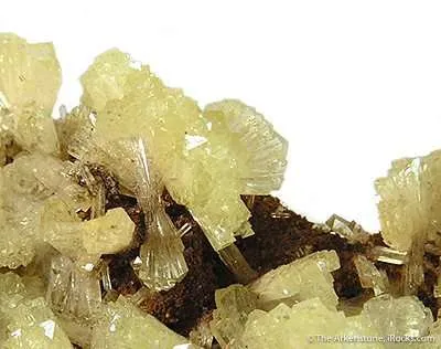Adamite - image 2