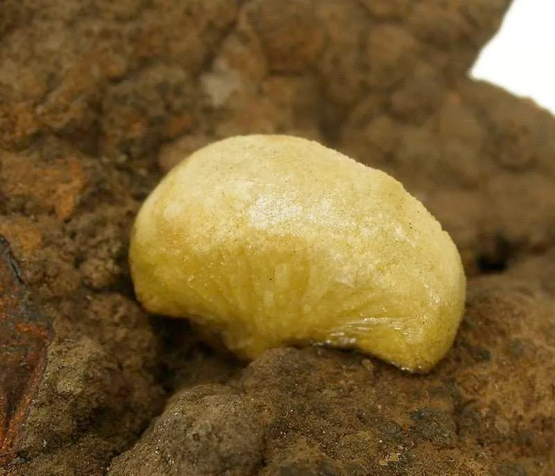 Adamite - image 5
