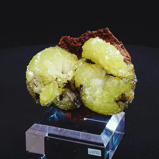 specimen video