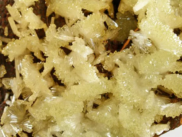 Adamite - image 2