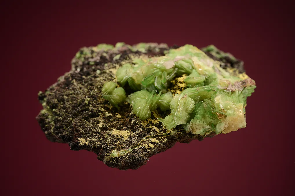 Adamite - image 4